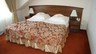 Курортные отели Sandra Spa Pogorzelica Погожелица Двухместный номер с 1 кроватью и собственной ванной комнатой-1